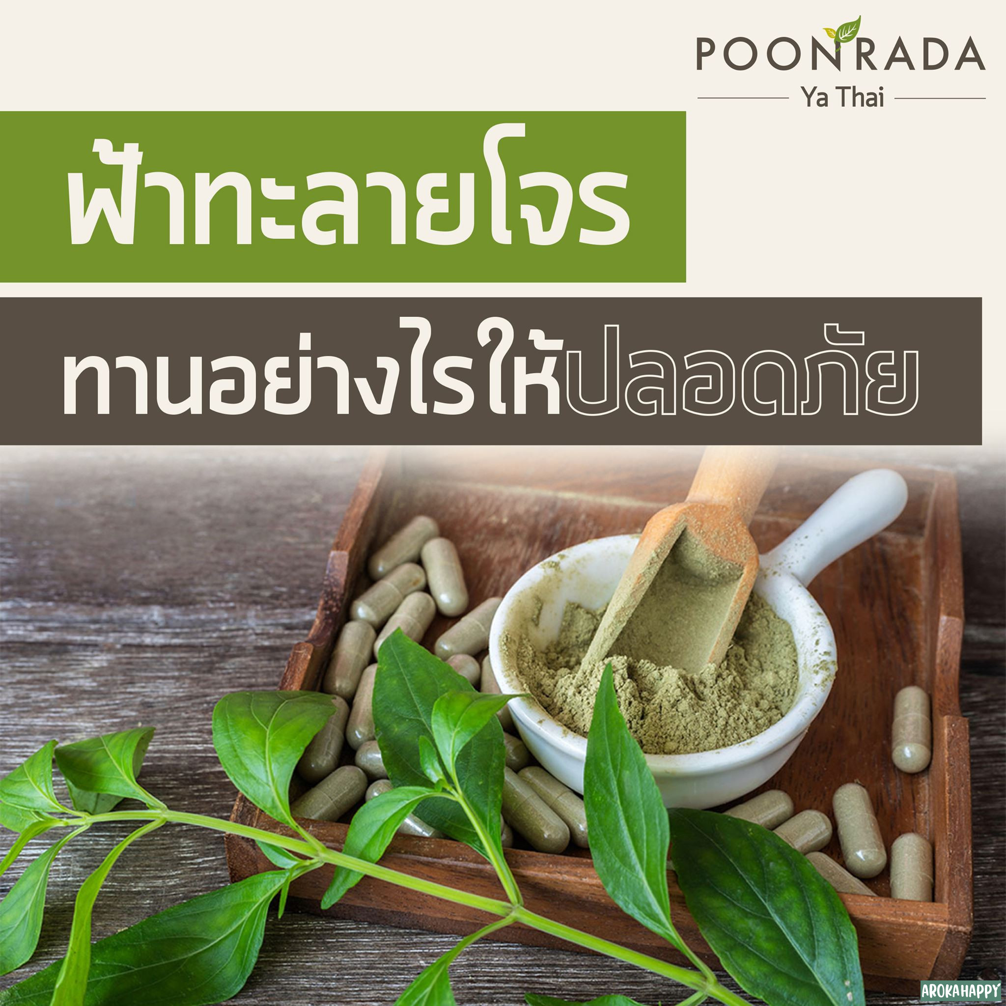 ฟ้าทะลายโจร กินอย่างไรให้ปลอดภัย?